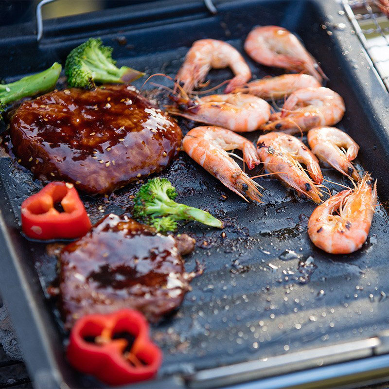 야외용 두꺼운 사각 그릴 팬, 손잡이 두 개, 휴대용  - Camping Cooking Tray 리뷰 및 가격
