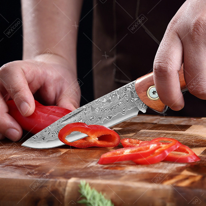 WXCOO 접이식 칼 포켓 나이프 가정용 도구용 스테인 - Camping Cooking Knife 리뷰 및 가격